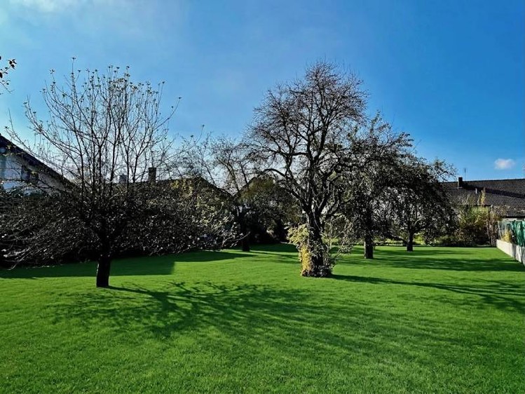 Prodej zahrady 1 450 m² - foto 1