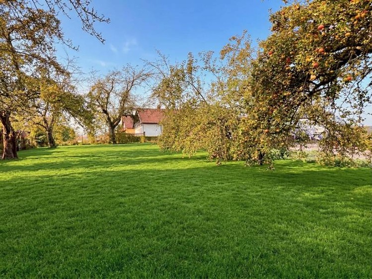 Prodej zahrady 1 450 m² - foto 2