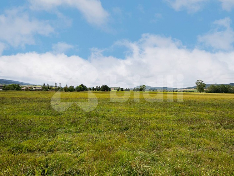 Prodej  stavebního pozemku 17 343 m² - foto 6