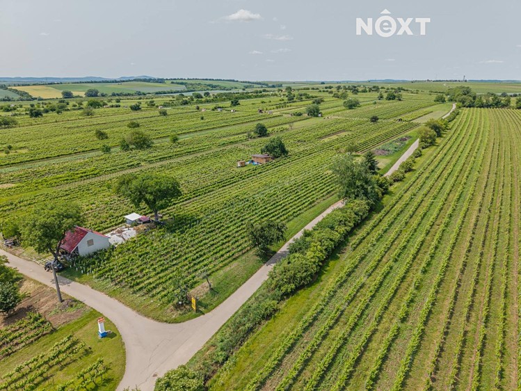 Prodej sadu, vinice 2 318 m² - foto 6
