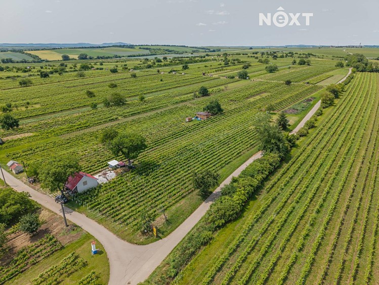 Prodej sadu, vinice 2 318 m² - foto 5