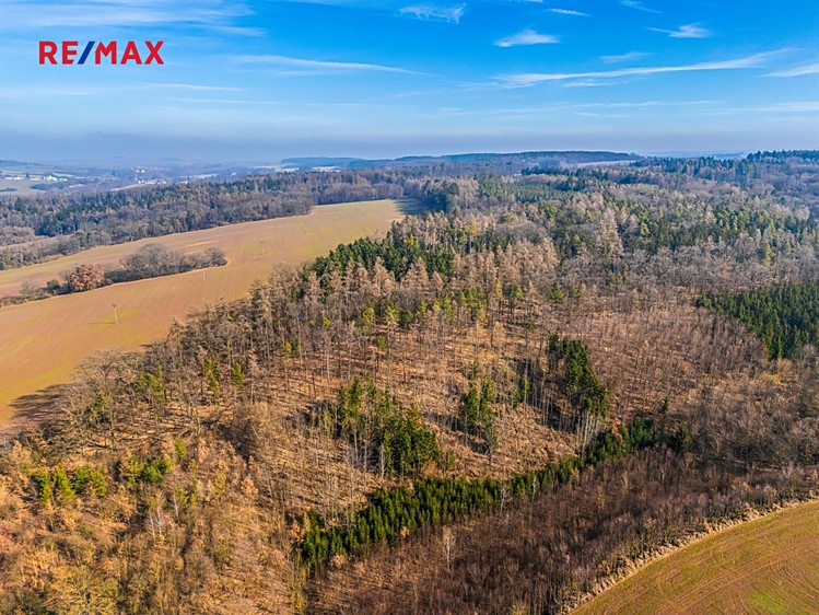Prodej  stavebního pozemku 1 000 m² - foto 5