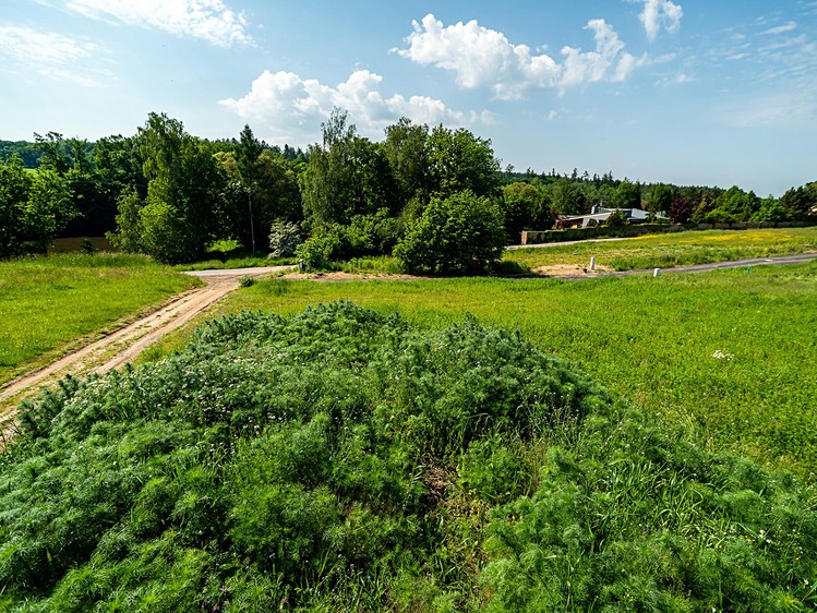 Prodej stavebního pozemku 943 m² - foto 2
