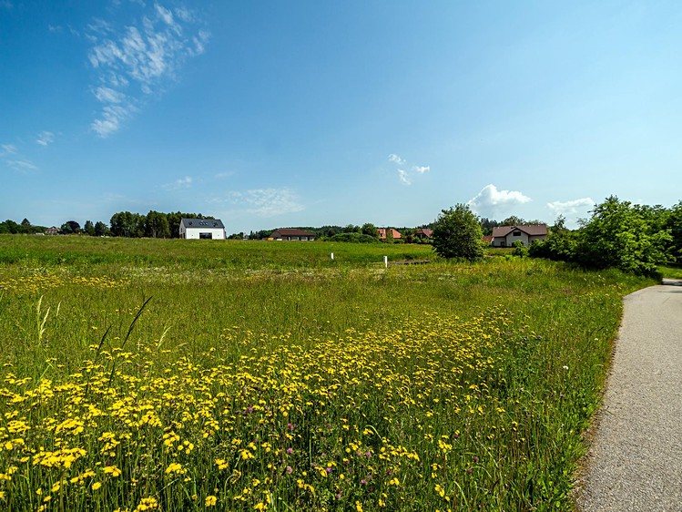 Prodej stavebního pozemku 943 m² - foto 5