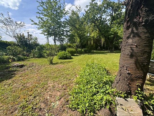 Prodej zahrady 645 m² - foto 1