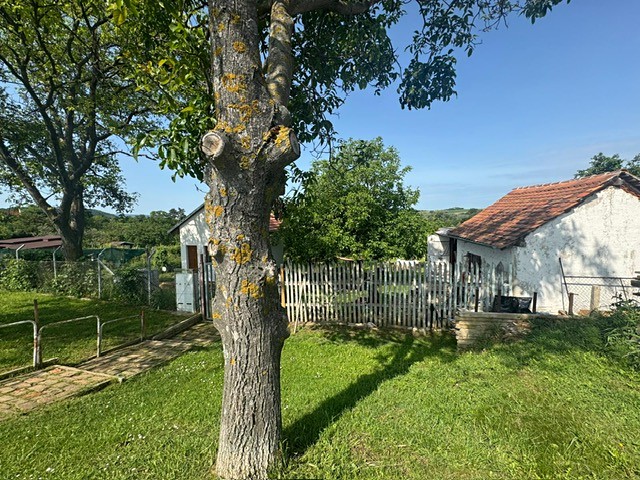 Prodej zahrady 957 m² - foto 3