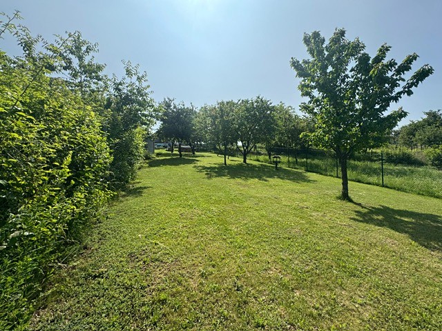 Prodej zahrady 957 m² - foto 8
