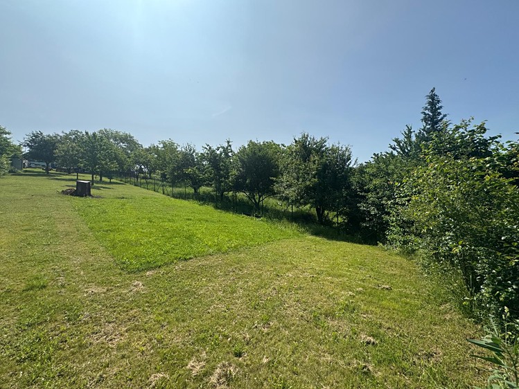 Prodej zahrady 957 m² - foto 7