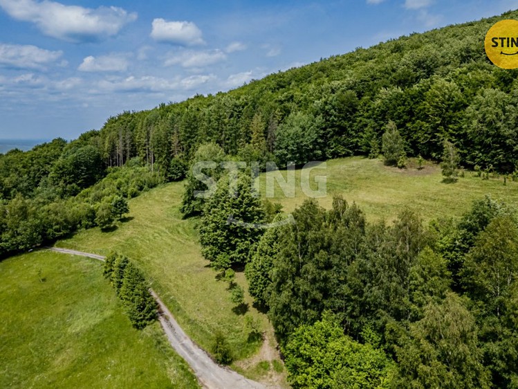 Prodej stavebního pozemku 22 090 m² - foto 4