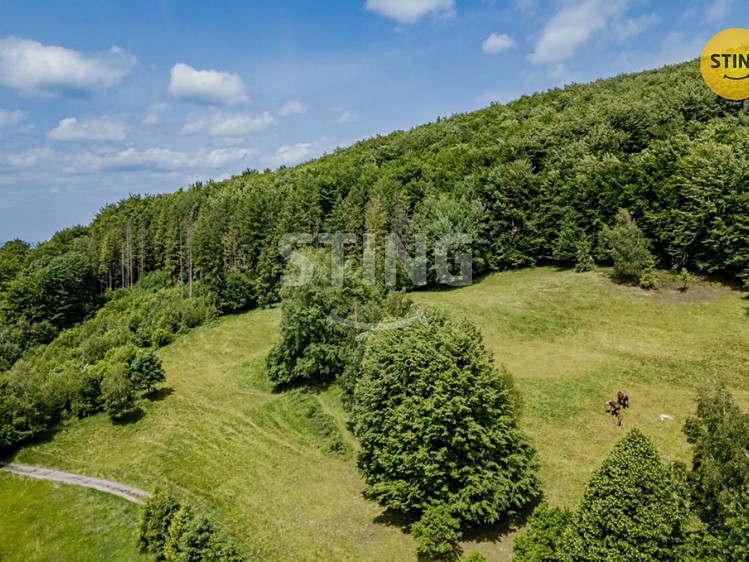 Prodej stavebního pozemku 22 090 m² - foto 5