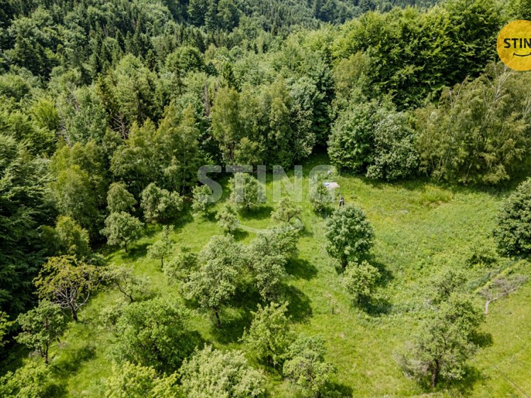 Prodej stavebního pozemku 22 090 m² - foto 8
