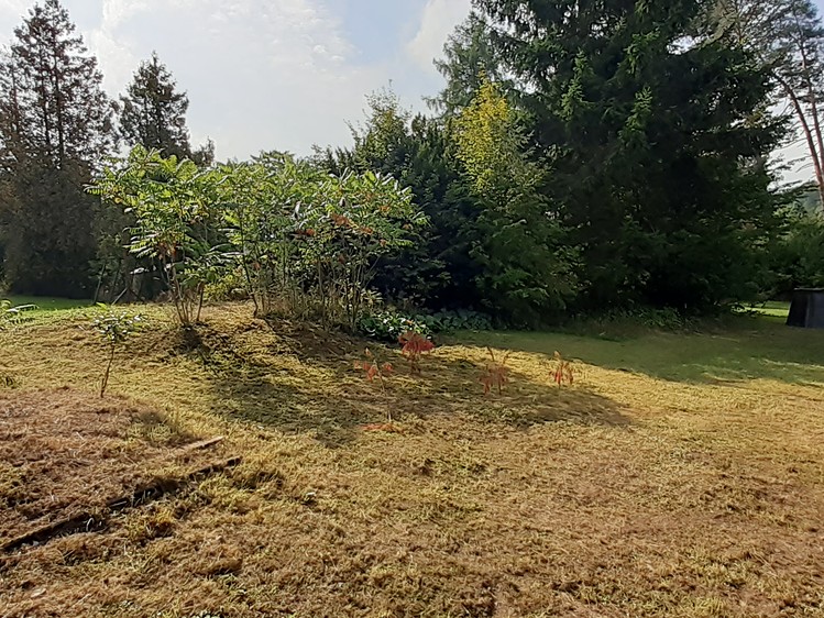 Prodej stavebního pozemku 1 526 m² - foto 5