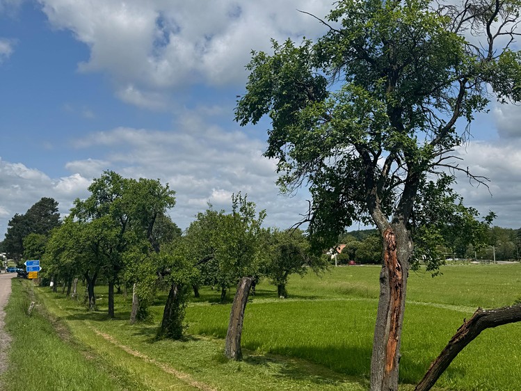 Prodej stavebního pozemku 948 m² - foto 3