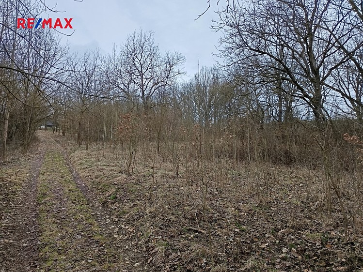 Prodej pozemku 3 482 m² - foto 4