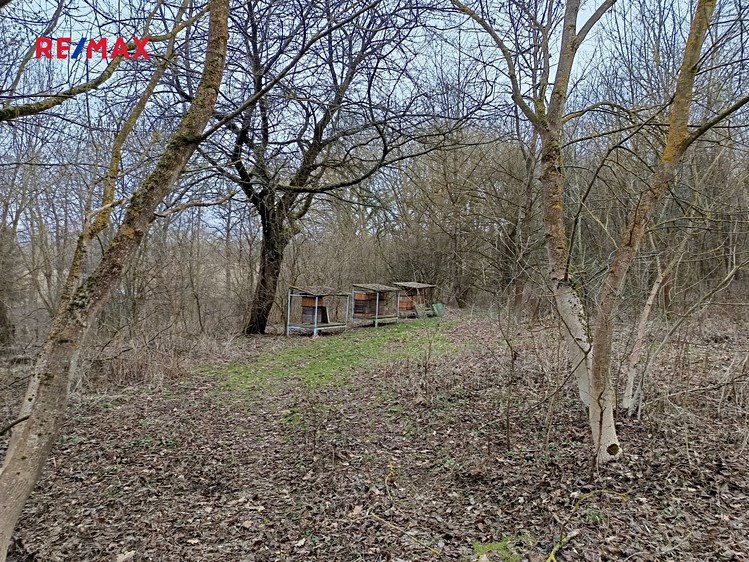 Prodej pozemku 3 482 m² - foto 5
