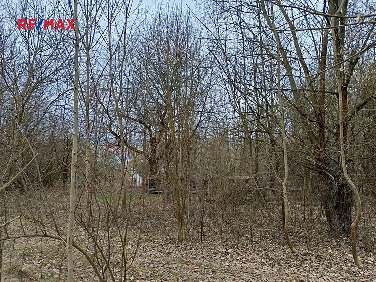 Prodej pozemku 3 482 m² - foto 7