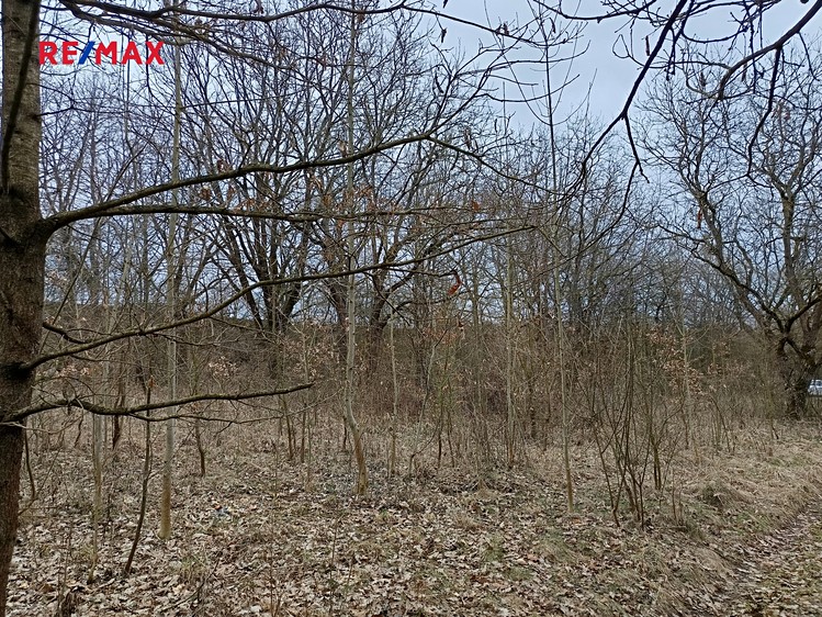 Prodej pozemku 3 482 m² - foto 8