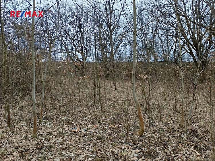 Prodej pozemku 3 482 m² - foto 6