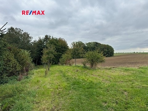 Prodej zahrady 782 m² - foto 5