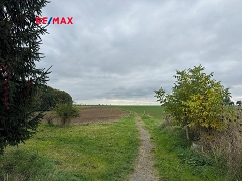 Prodej zahrady 782 m² - foto 6