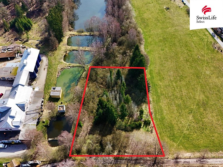 Prodej podílu 2/3 lesa 4 442 m² - foto 2