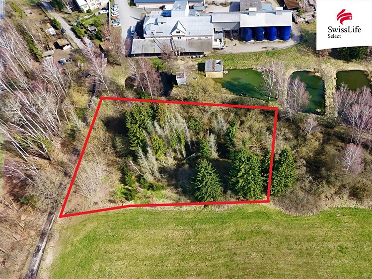 Prodej podílu 2/3 lesa 4 442 m² - foto 4