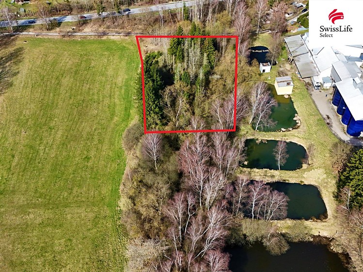 Prodej podílu 2/3 lesa 4 442 m² - foto 1