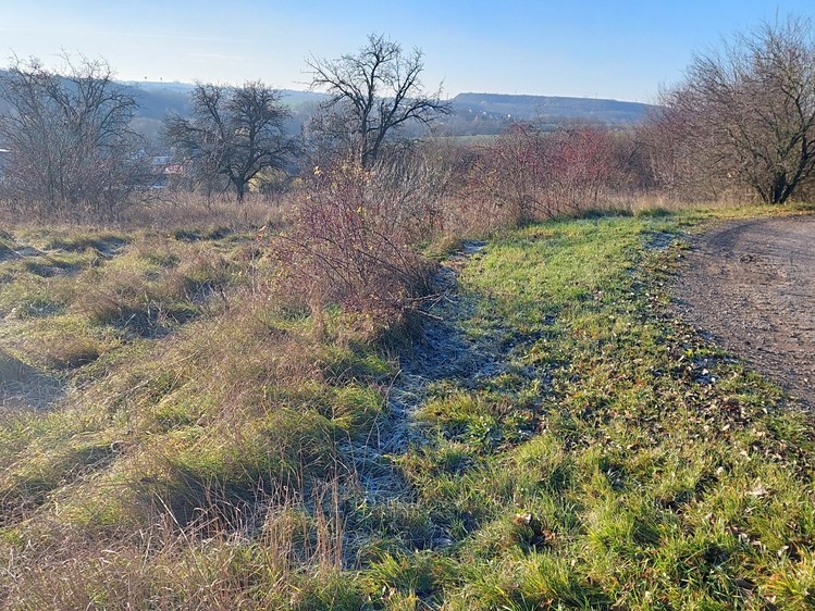 Prodej stavebního pozemku 1 424 m² - foto 5