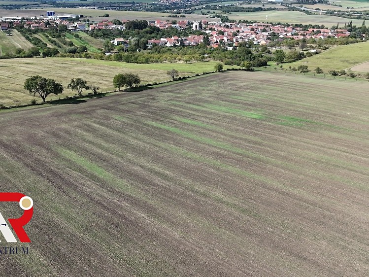 Prodej pole 1 567 m² - foto 5