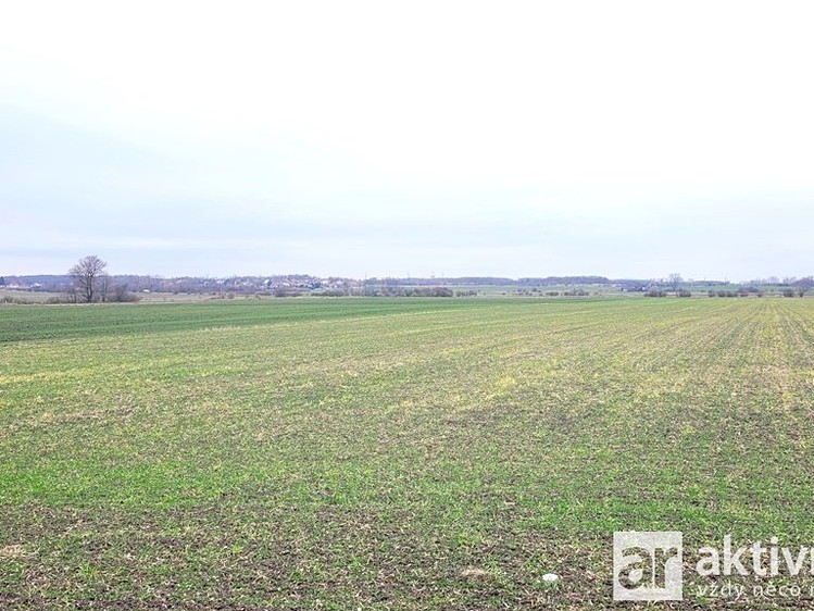 Prodej podílu 1/2 pole 19 414 m² - foto 4