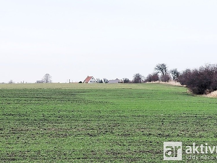 Prodej podílu 1/2 pole 7 464 m² - foto 4
