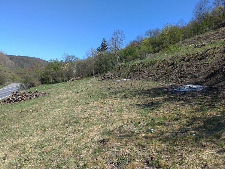 Prodej stavebního pozemku 15 999 m² - foto 5