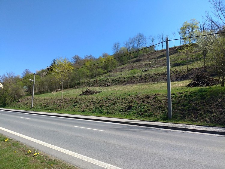 Prodej stavebního pozemku 15 999 m² - foto 7