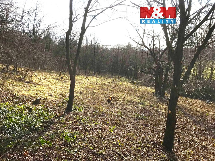 Prodej zahrady 782 m² - foto 1