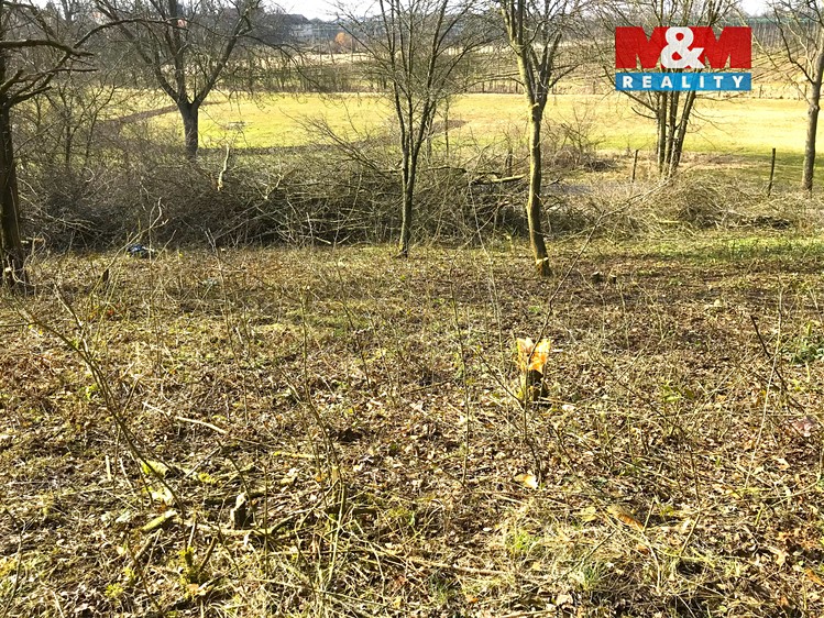 Prodej zahrady 782 m² - foto 4