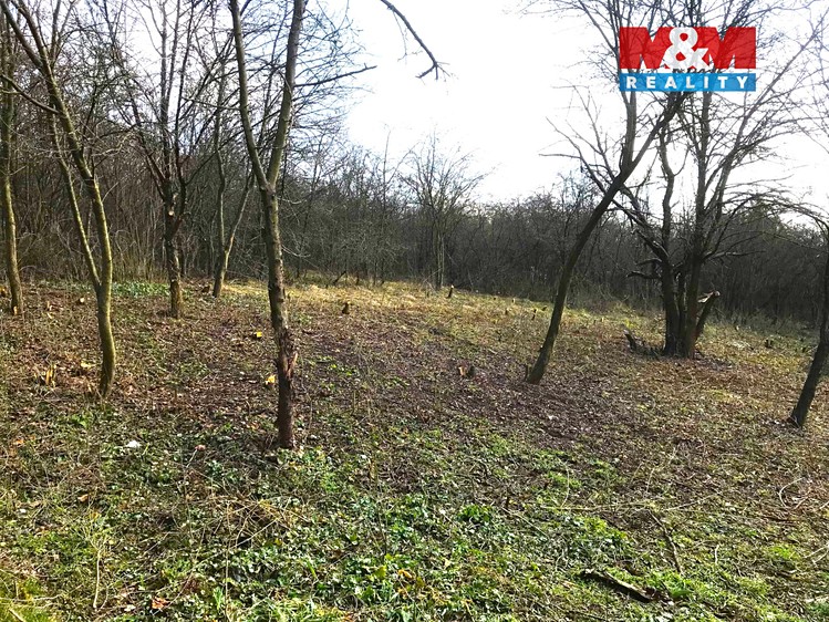 Prodej zahrady 782 m² - foto 6