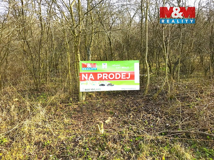 Prodej zahrady 782 m² - foto 5