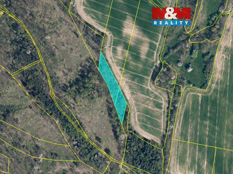 Prodej lesa 4 458 m² - foto 1