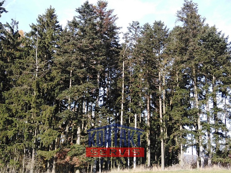 Prodej lesa 12 818 m² - foto 1