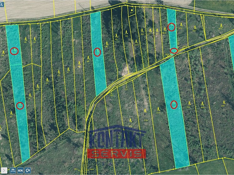 Prodej lesa 12 818 m² - foto 5