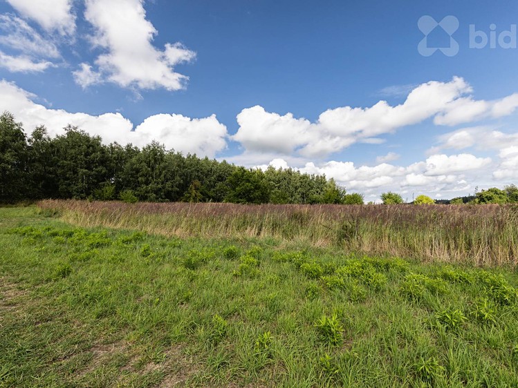Prodej pole 12 088 m² - foto 4