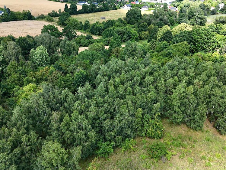 Prodej pole 12 088 m² - foto 8