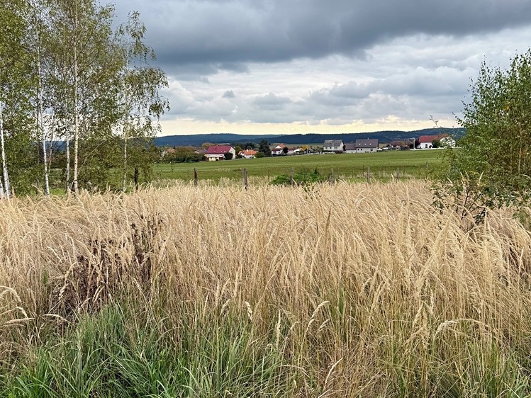 Prodej stavebního pozemku 1 376 m² - foto 4