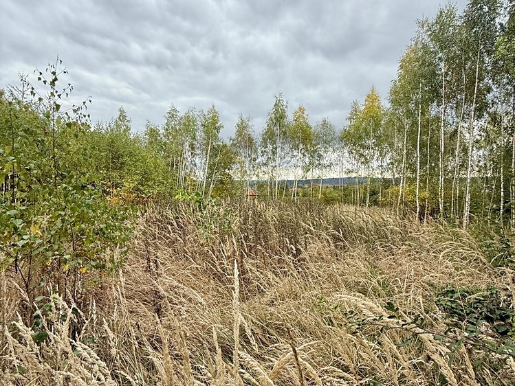 Prodej stavebního pozemku 1 376 m² - foto 2