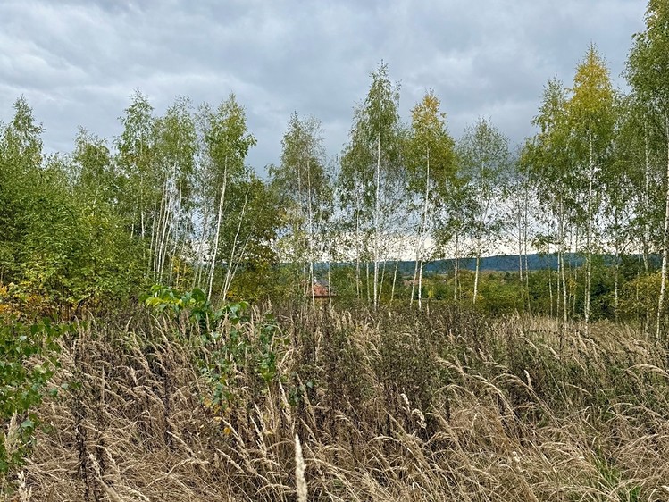Prodej stavebního pozemku 1 376 m² - foto 6