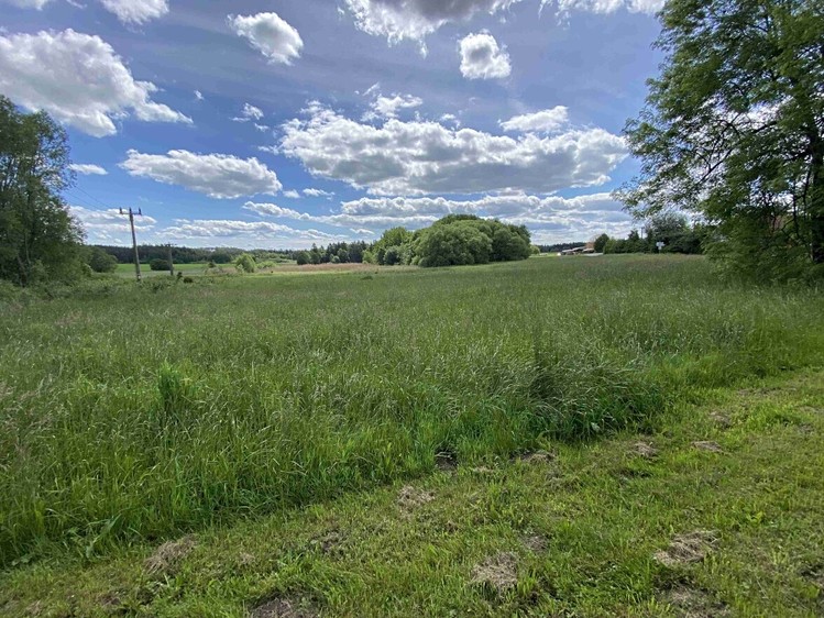 Dražba stavebního pozemku 1 281 m² - foto 5