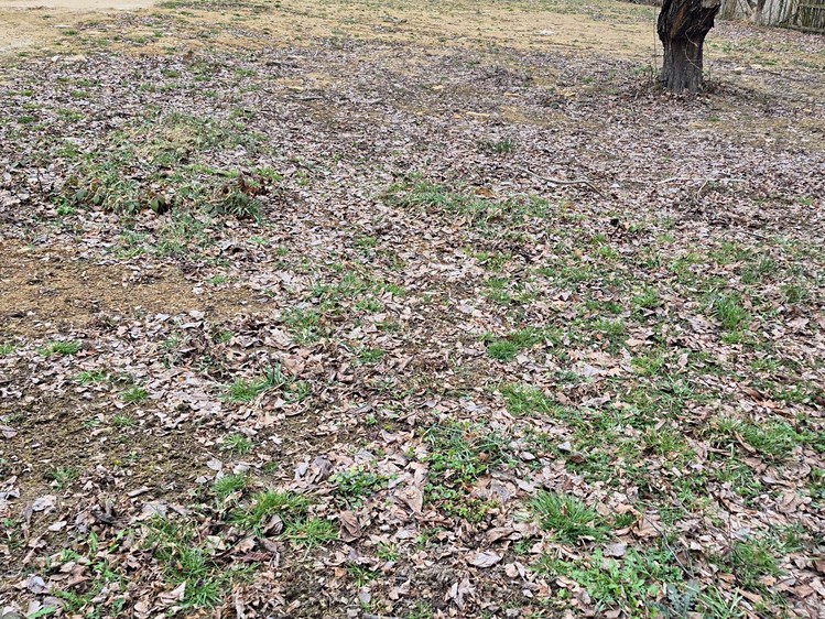 Prodej  stavebního pozemku 1 021 m² - foto 3
