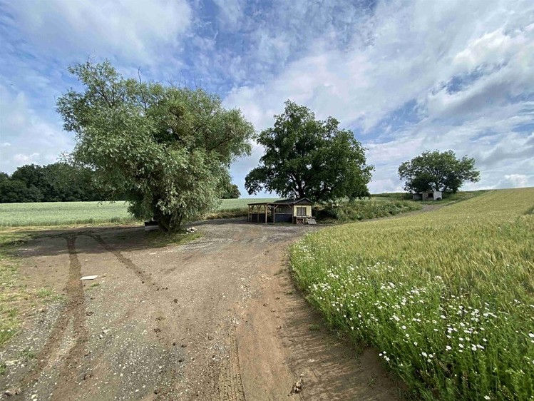 Dražba pozemku 2 368 m² - foto 6