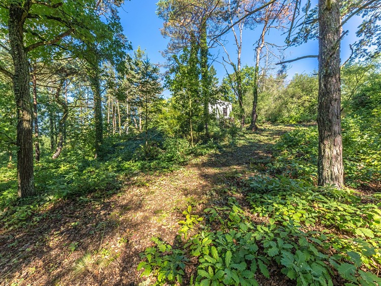 Prodej  stavebního pozemku 1 083 m² - foto 6