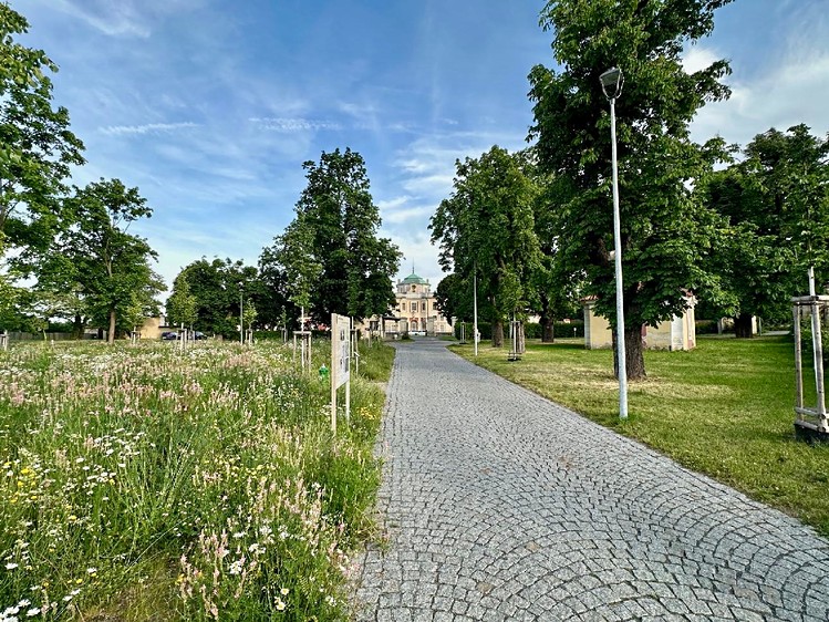 Prodej  stavebního pozemku 380 m² - foto 8